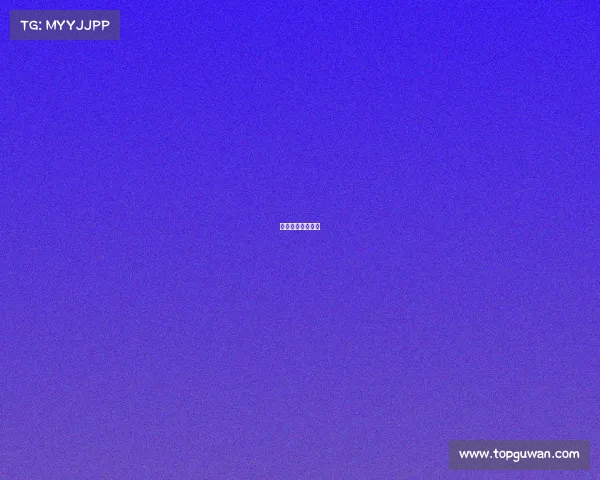 淡泊车队在哪个区